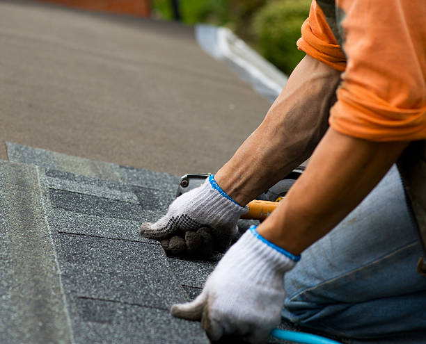 Best Roof Maintenance Services  in Gruver, TX